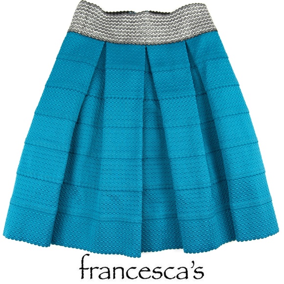 Francesca's Collections Dresses & Skirts - NWT Francesca's Balcones Skirt Blue Silver Small